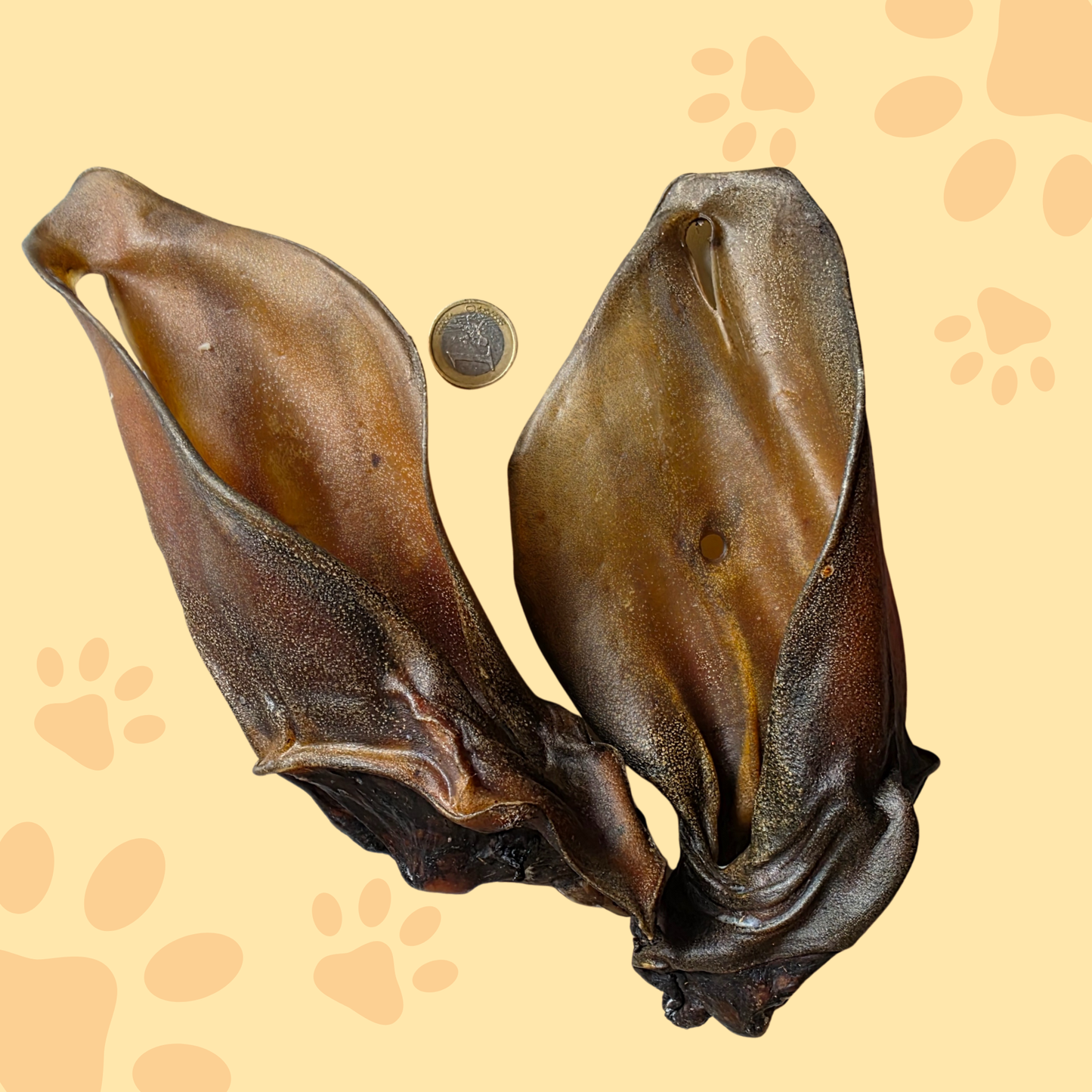 Oreille de boeuf XXL