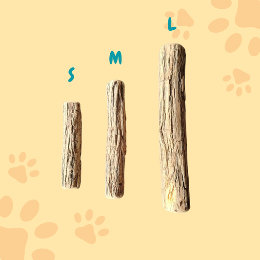 Bois de Sekelbos pour chien