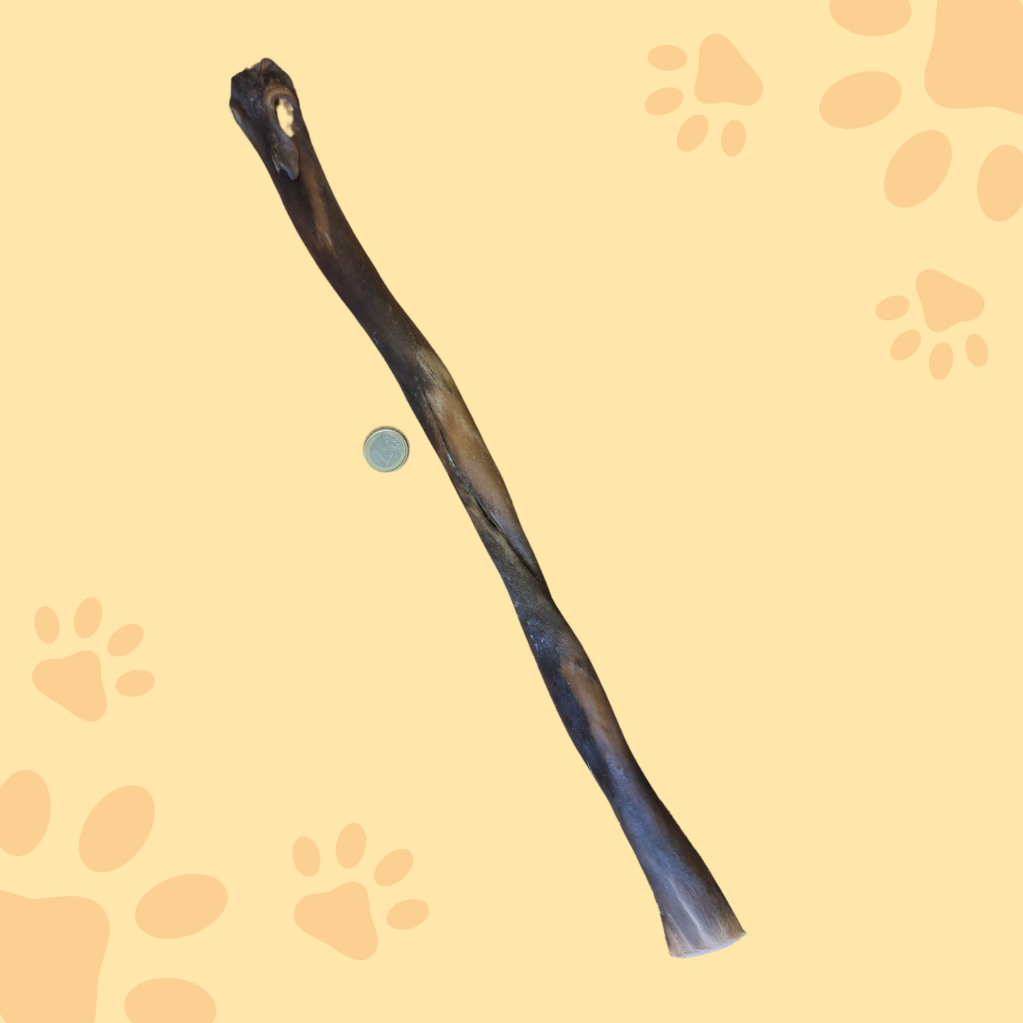 Stick de peau de bœuf 50cm