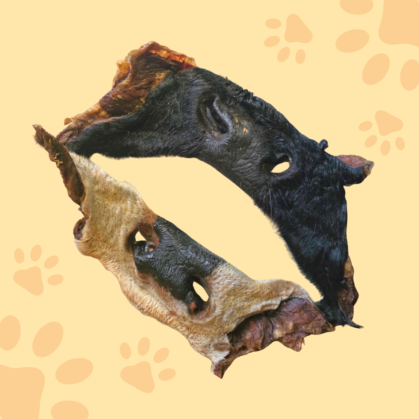 Museau de boeuf avec poil