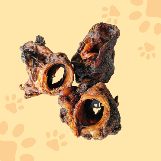 Larynx de boeuf
