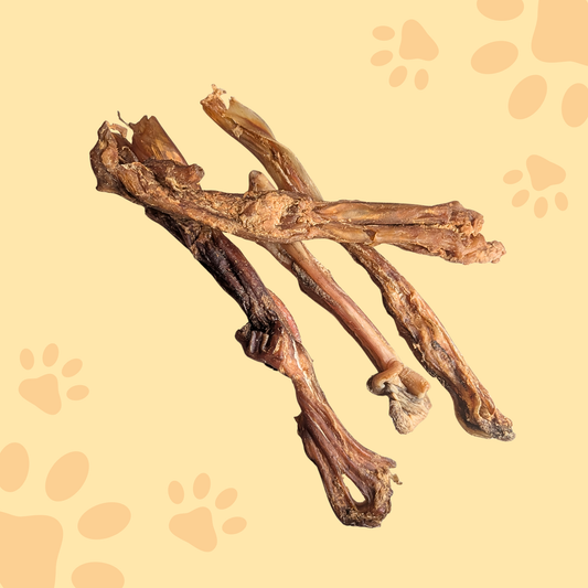 Tendon d'Achille de boeuf