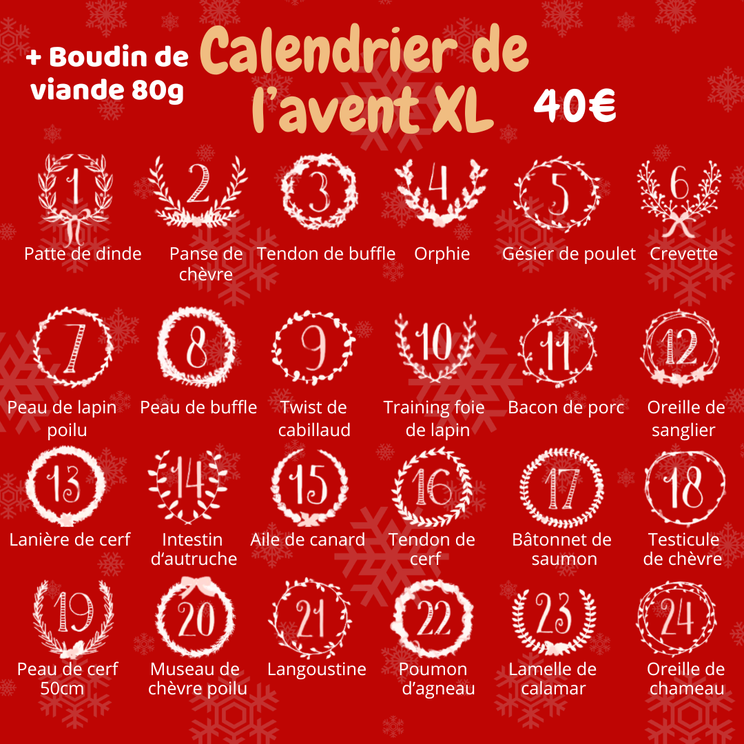 Pré commande Calendrier de l'Avent pour chien