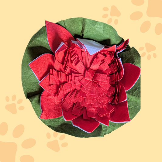 Tapis de fouille lotus salon