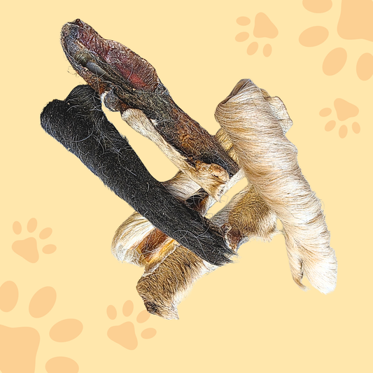 Peau de boeuf avec poils 15cm
