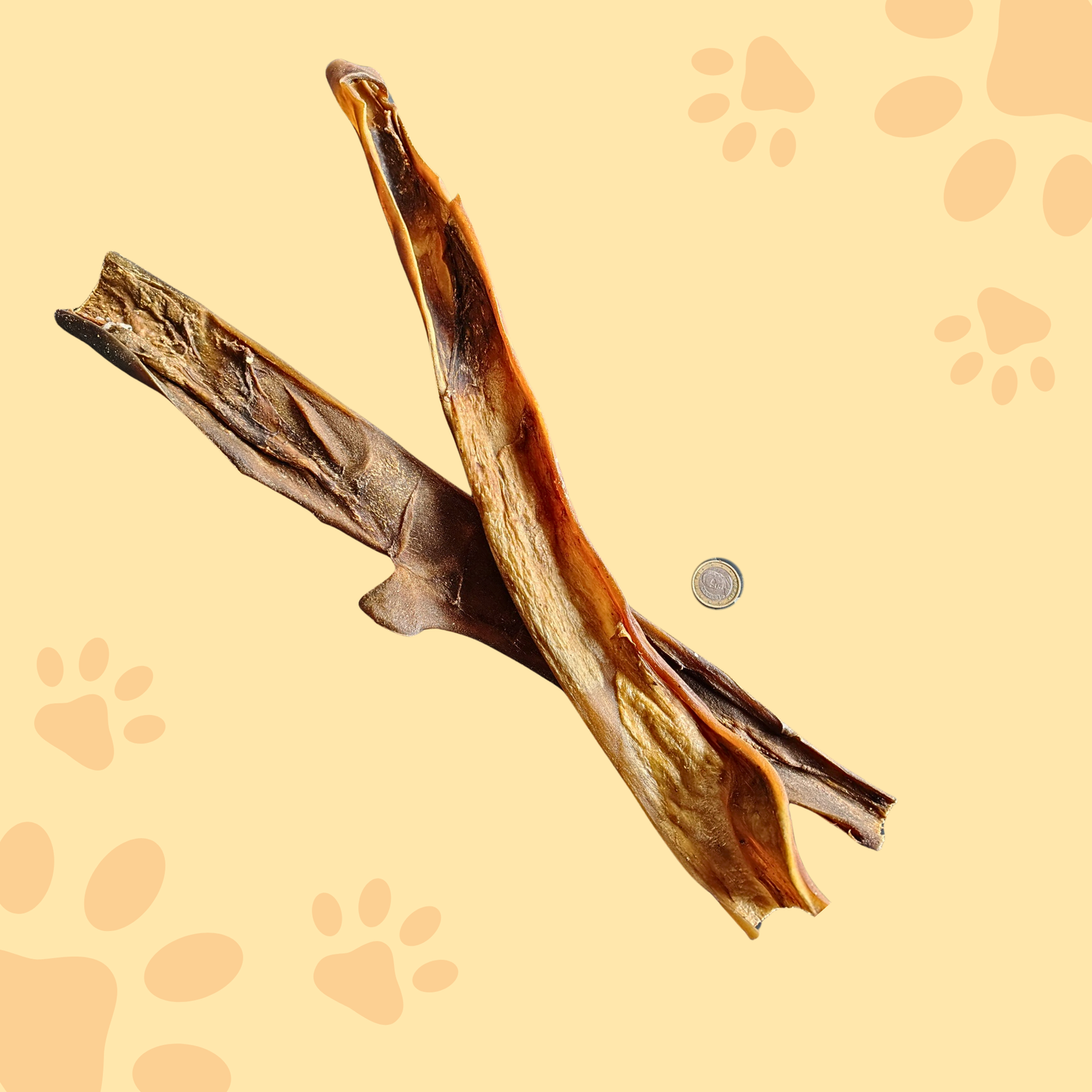 Stick peau de chameau 50cm