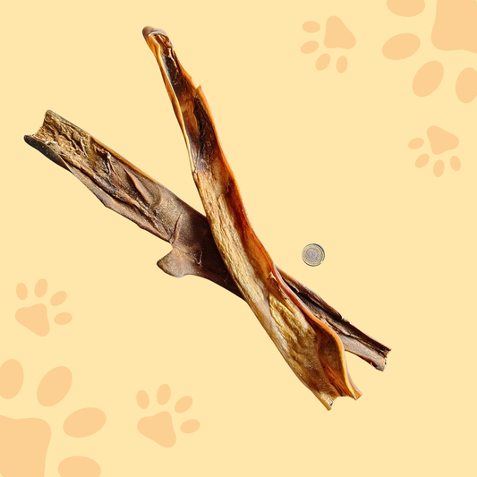 Stick peau de chameau 50cm