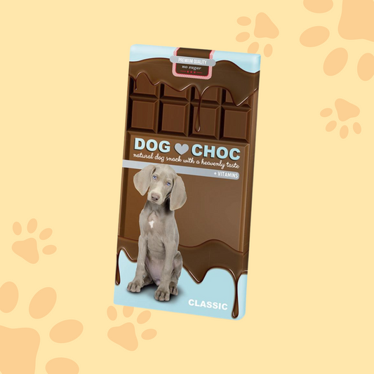 Chocolat pour chien