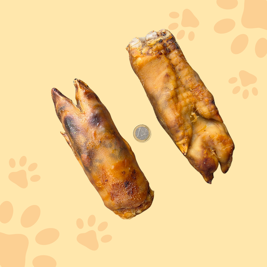 Pied de porc