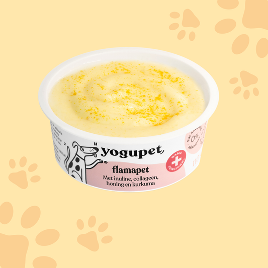 Yaourt sans lactose Flamapet - Articulation Yogupet