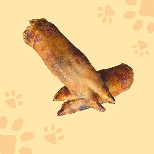 Pied de porc
