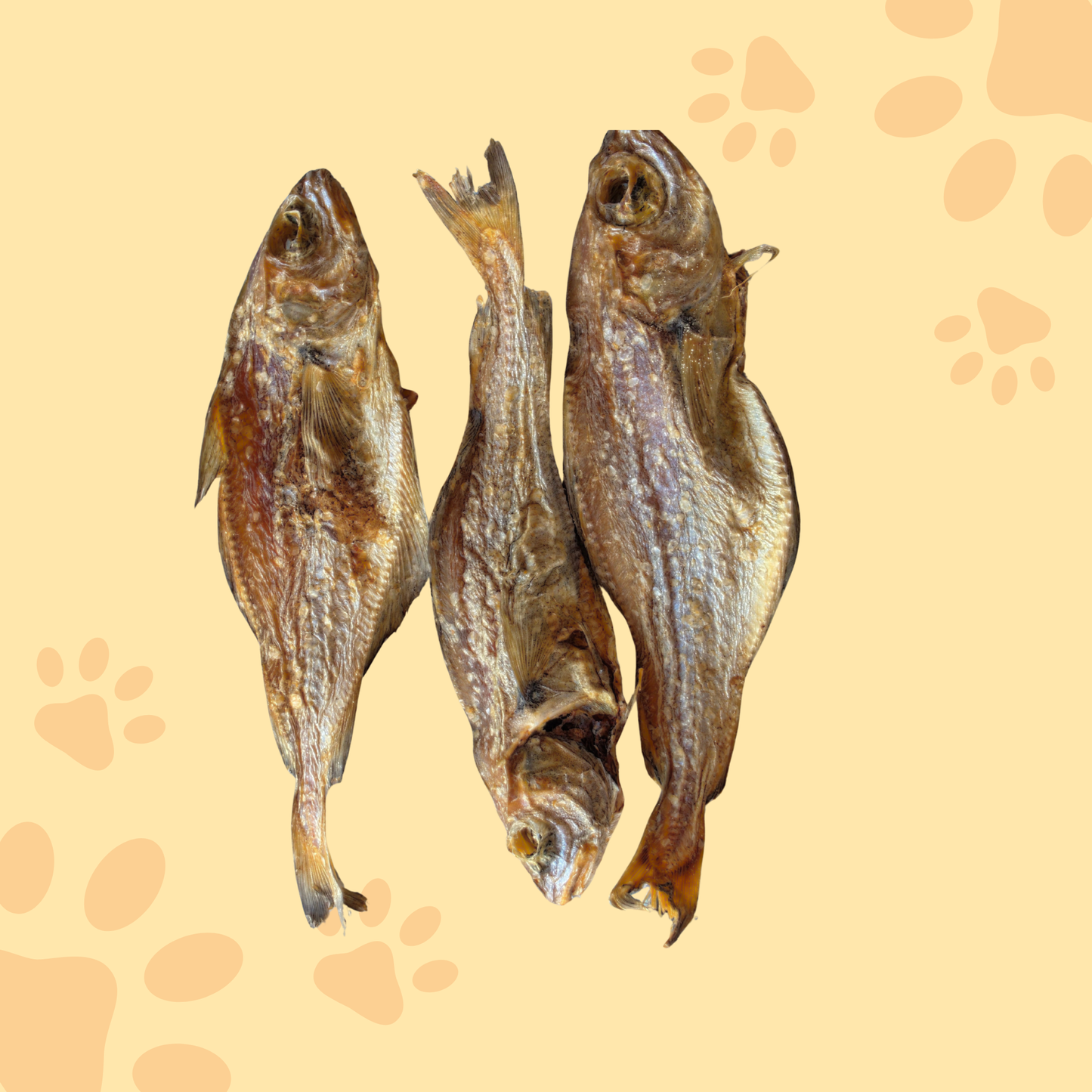 Tacaud