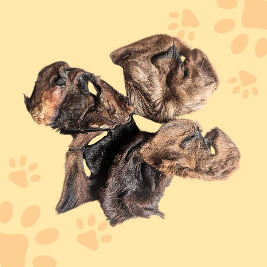 Museau chèvre avec poil