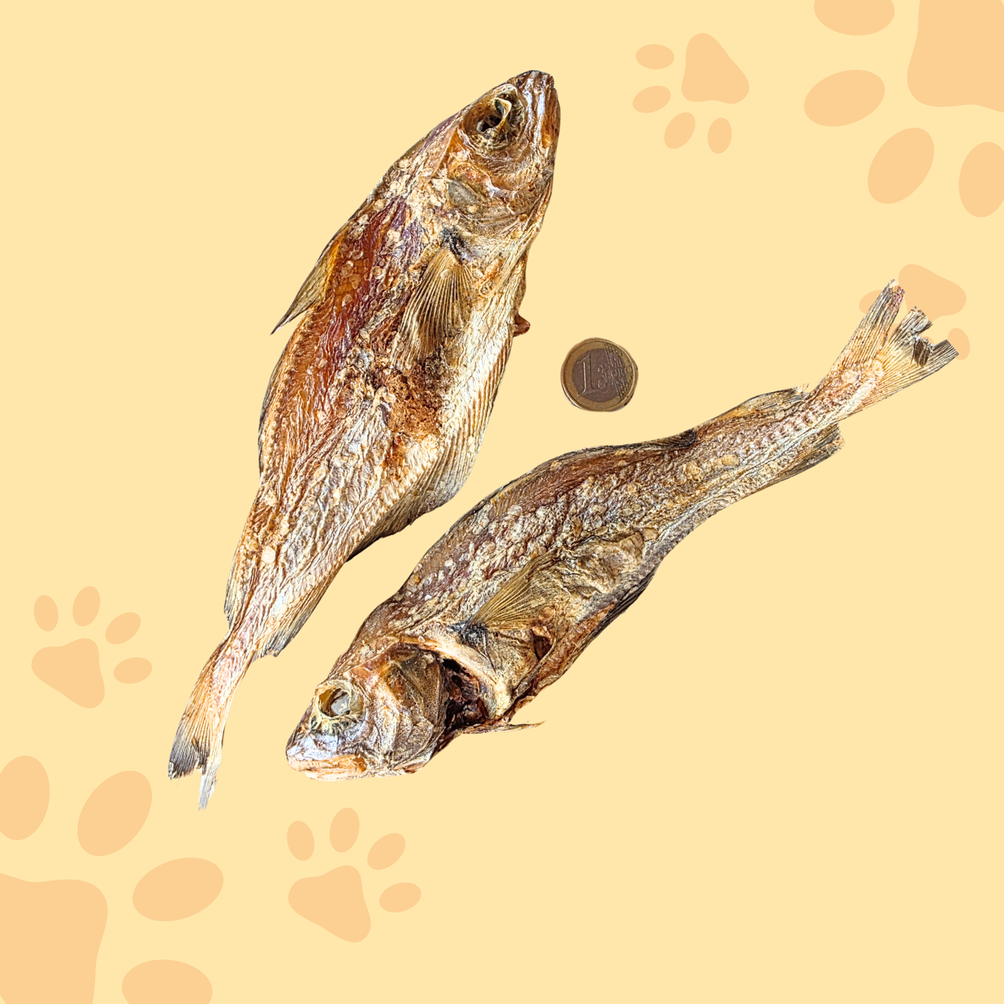 Tacaud