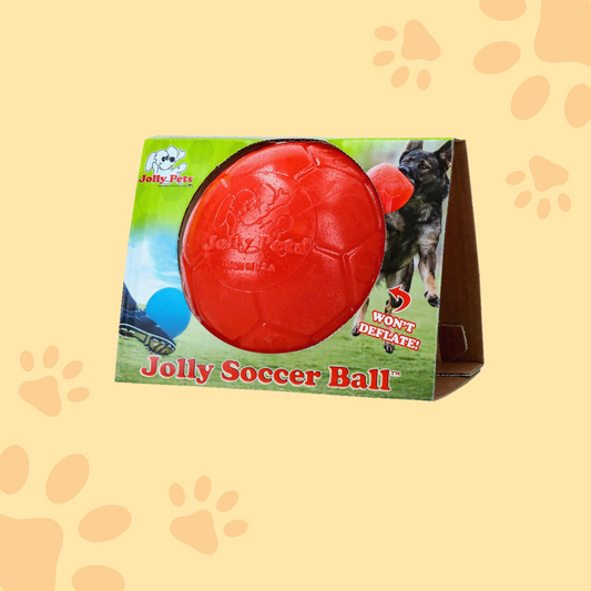 Balle jolly pet