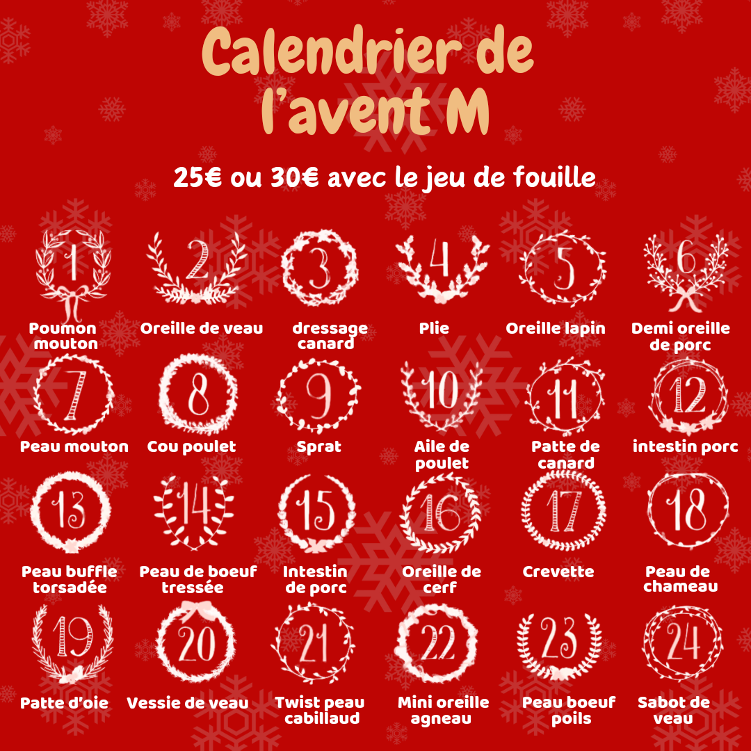 Calendrier de l'Avent pour chien