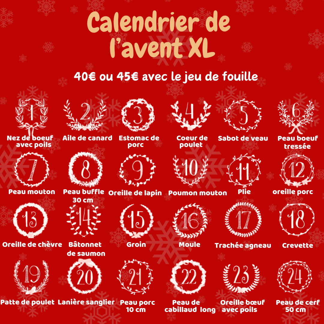 Calendrier de l'Avent pour chien