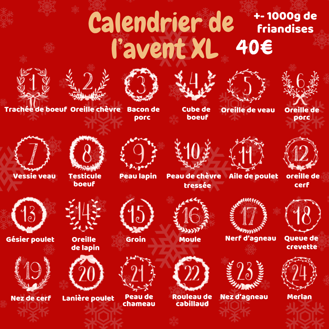 Pré commande Calendrier de l'Avent pour chien