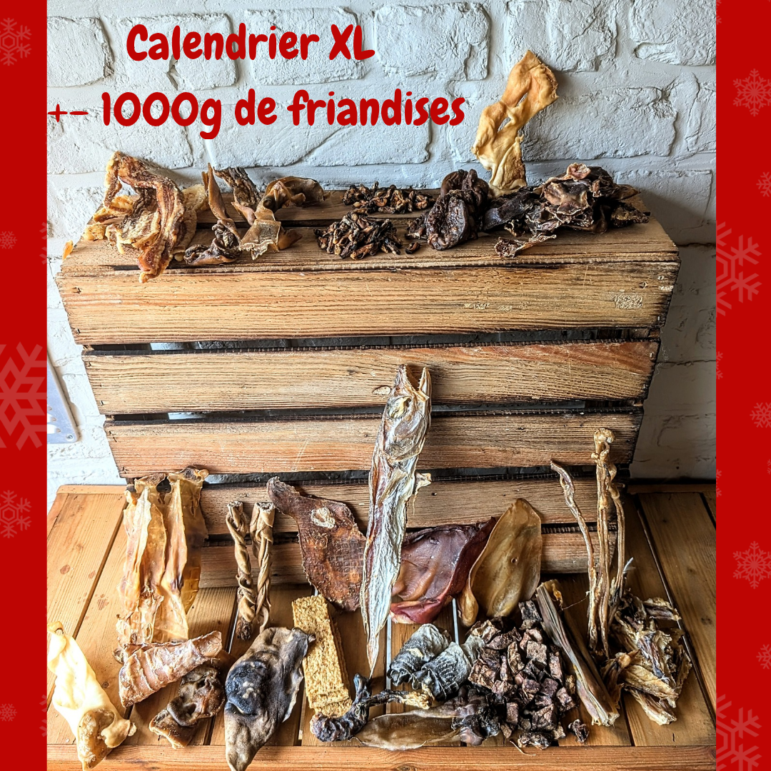 Pré commande Calendrier de l'Avent pour chien