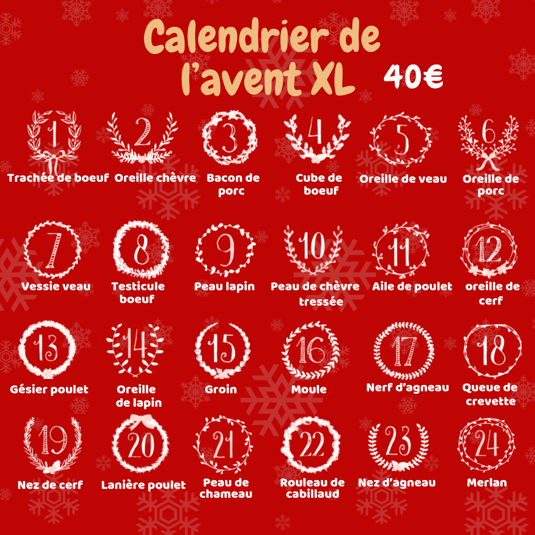 Pré commande Calendrier de l'Avent pour chien