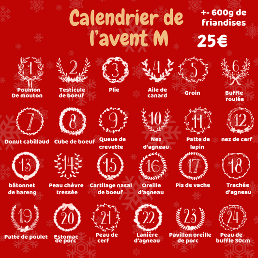 Calendrier de l'Avent pour chien