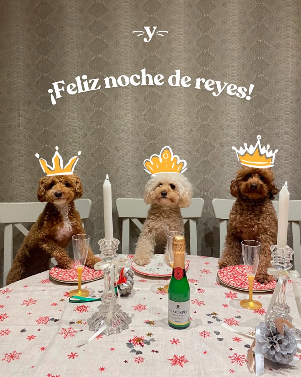 Cheers&pet champagne