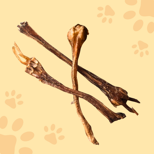 Tendon d'Achille de cerf