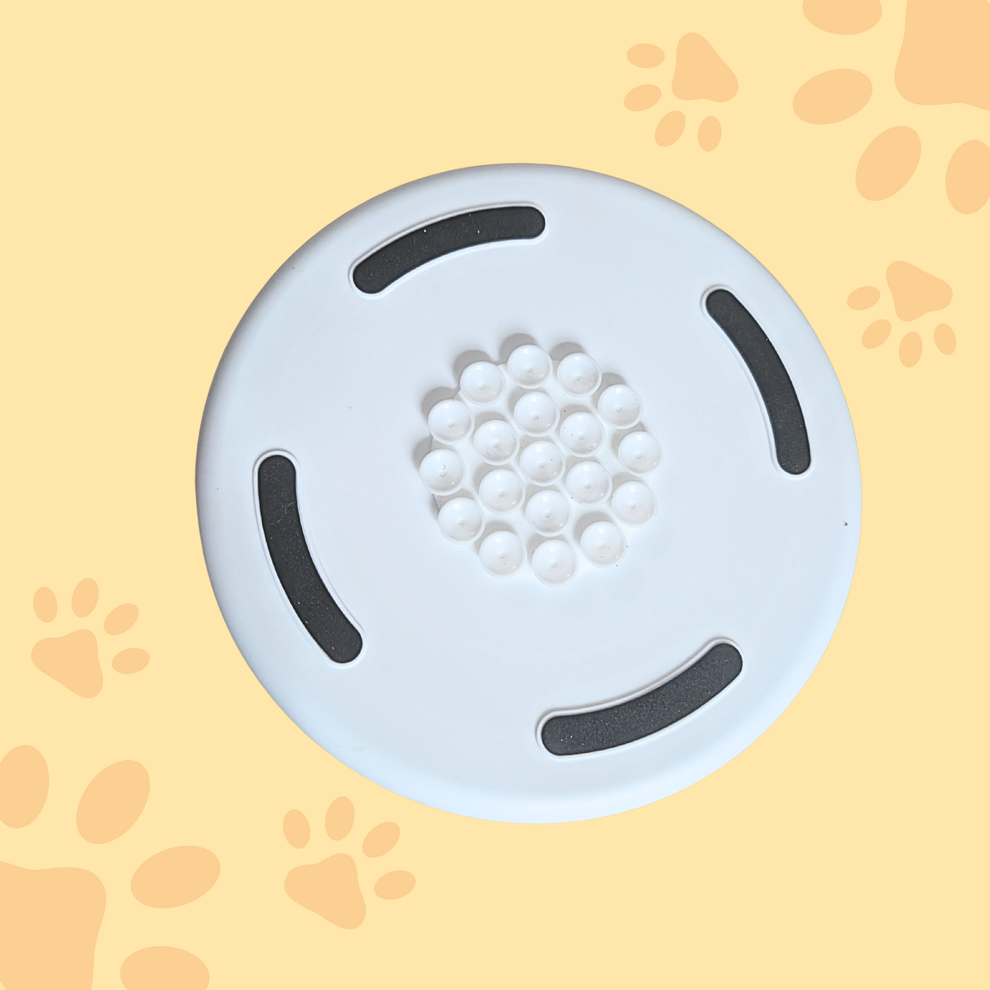 Gamelle puzzle coquillage