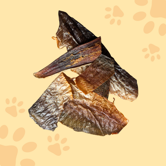 Filet de peau de saumon kéta