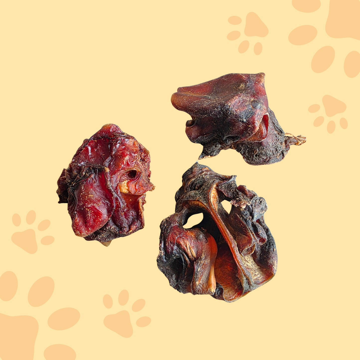 Cartilage nasal de boeuf