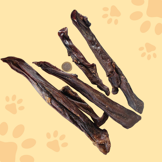 Langue de cerf 20cm