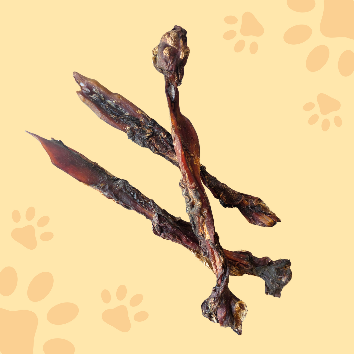 Tendon de cou de cerf