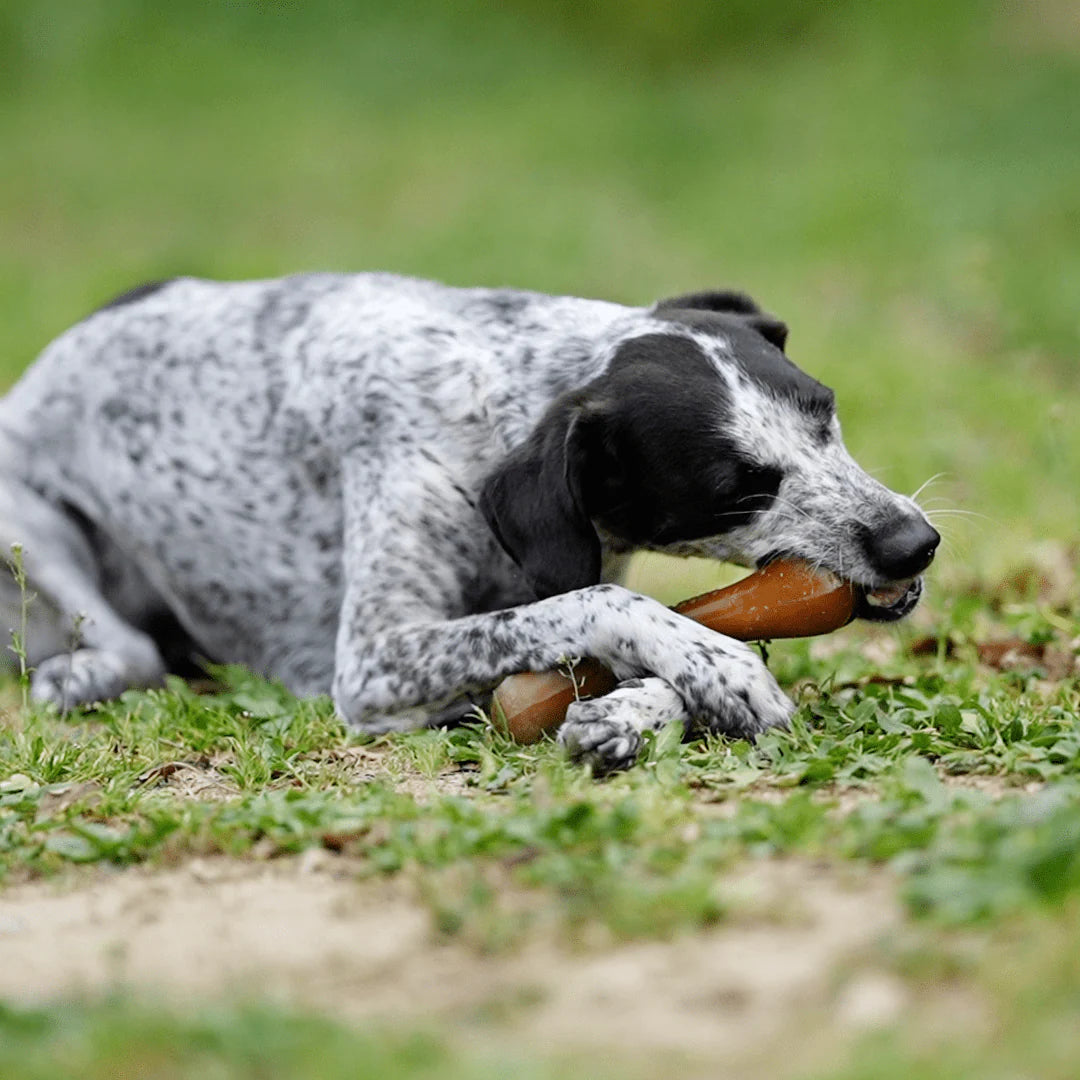 Os Retorn en caoutchouc naturel